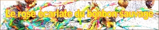 mayart - Peintures bas-reliefs