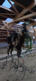 mayart - Sculptures