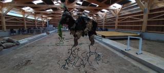 mayart - Sculptures